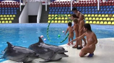 Dolphin Day Delights 1 - For those who want to officially become nudists