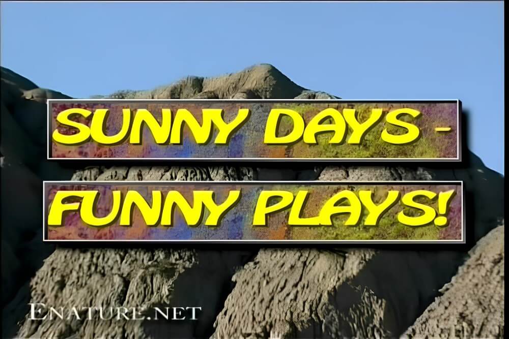 Enature - Sunny Days – Funny Plays - Joy and pleasure are part of the nudist experience