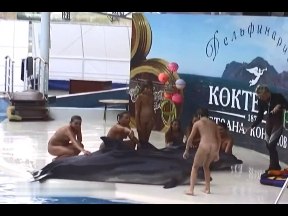 Relaxing at the dolphinarium - Naturalness and freedom are the core principles of naturism and nudism